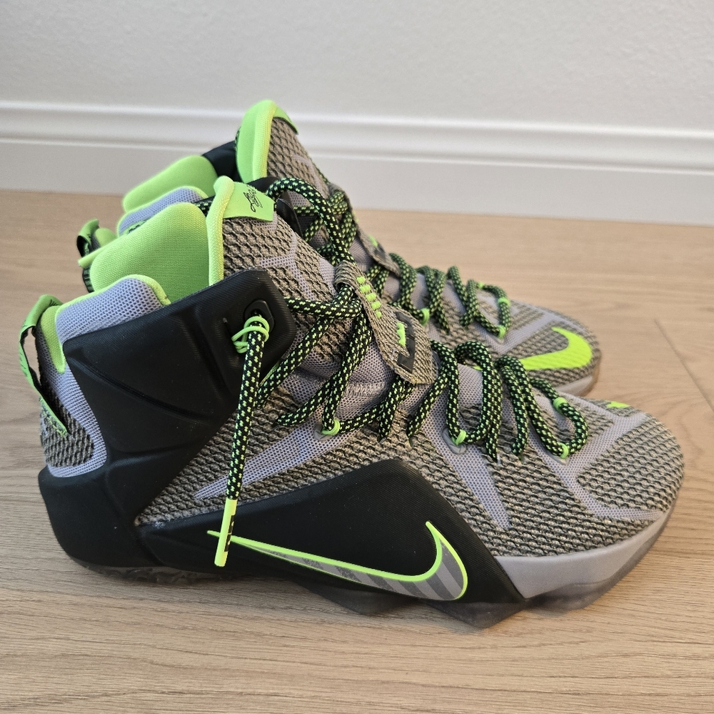 Lebron 12 - Dunkman